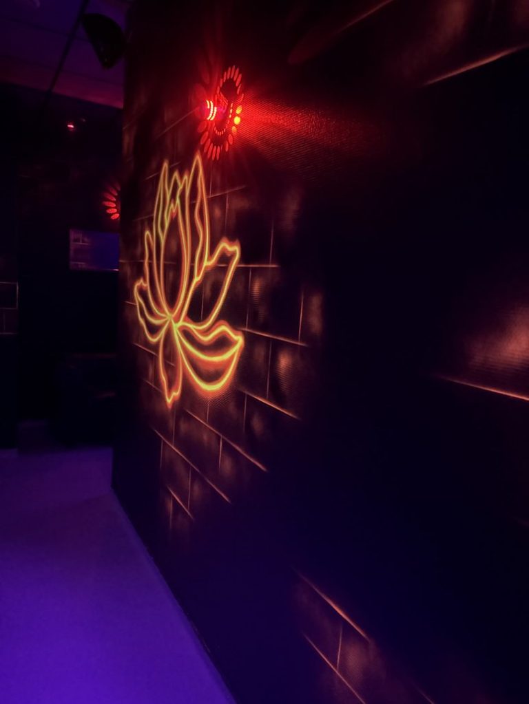 Neon lotus - L IDEAL SAUNA, Agen